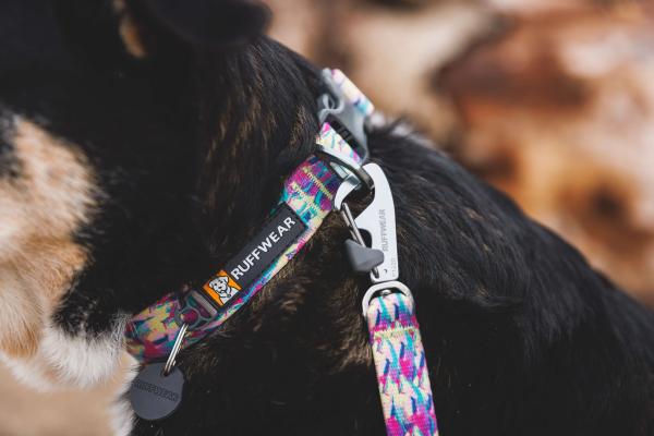 Ruffwear Front Range Leash Reef Fish
